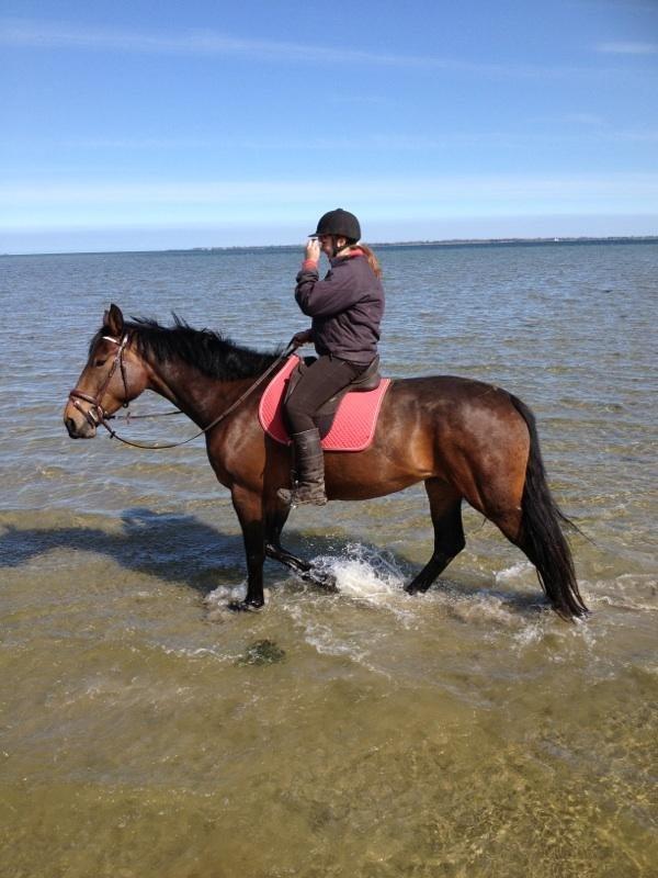 Anden særlig race Henriksøgaards Finaly May billede 24