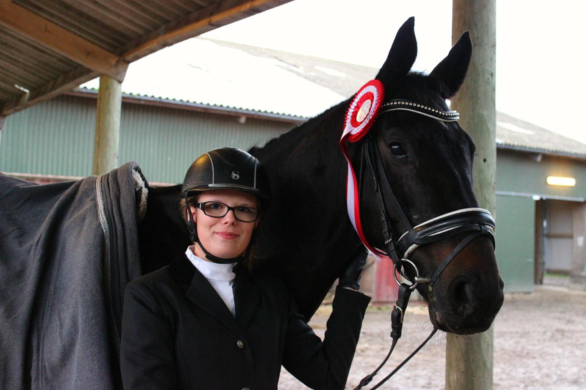 Hollandsk Varmblod Benneton <3 - Vinder af LD2 med 68,05 % :-)
 billede 15