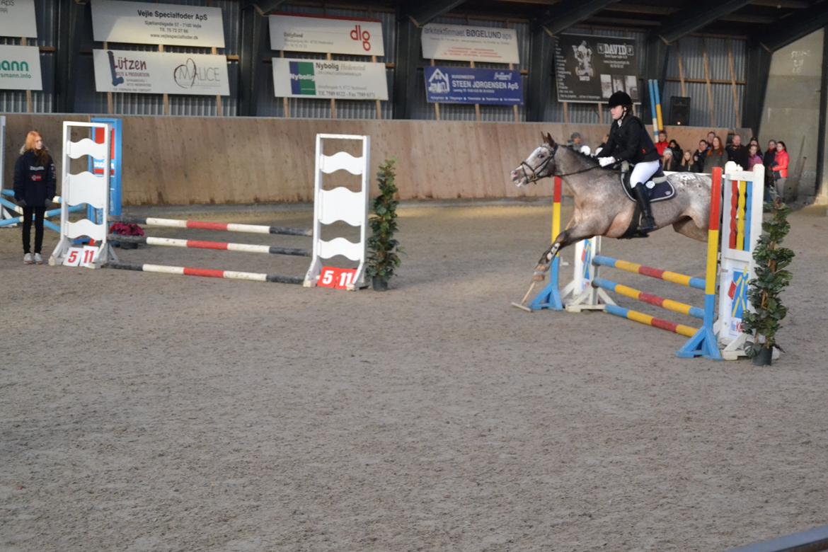 Knabstrupper Nørremarkens Maláco - Stævne i HDR  billede 11