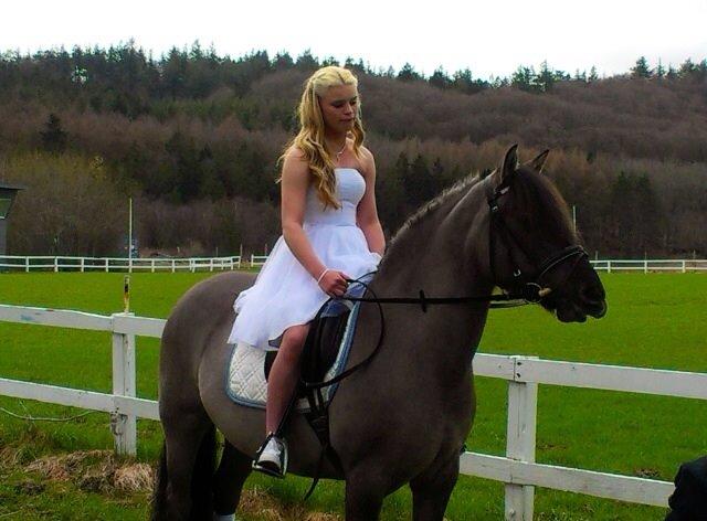 Anden særlig race S.I.R's Bertha billede 19