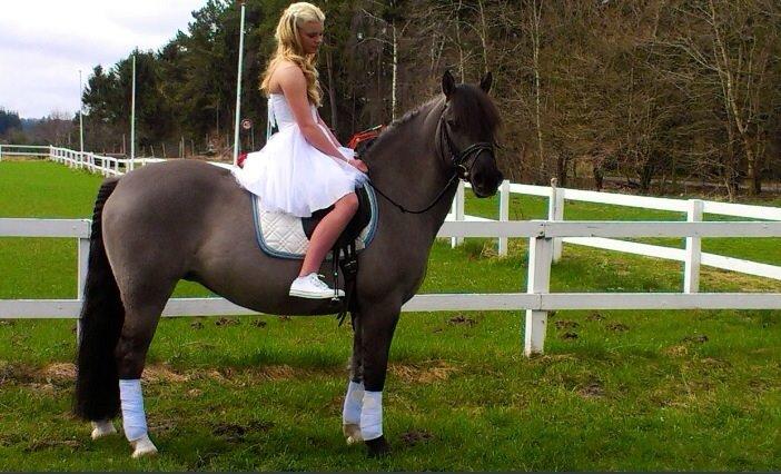 Anden særlig race S.I.R's Bertha billede 20