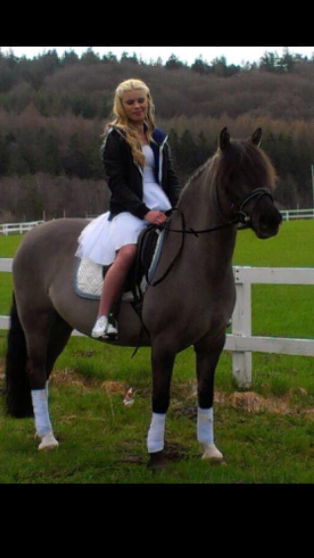 Anden særlig race S.I.R's Bertha billede 21