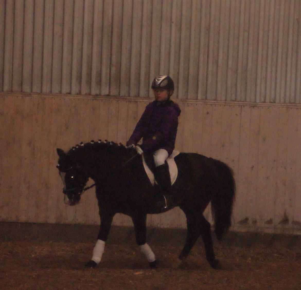 Anden særlig race Aslan billede 19