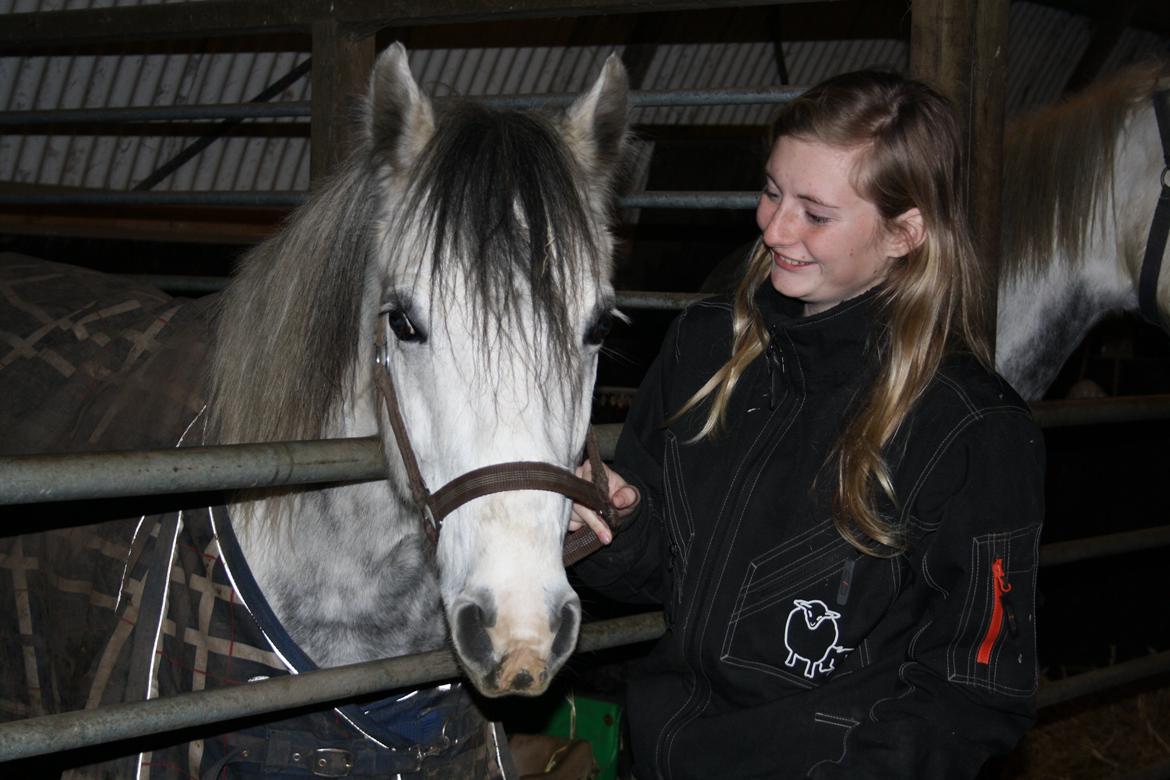 Anden særlig race Müseli<3 ( bornholms og klub mester ) - sidste aften sammen :'( <3 billede 6