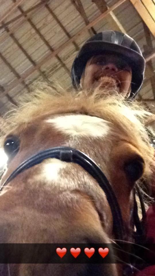 Shetlænder Lukas - cuti er ud at ride billede 6