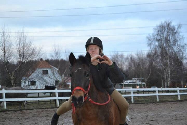 New Forest Mister twostar (tidl. Part) billede 2