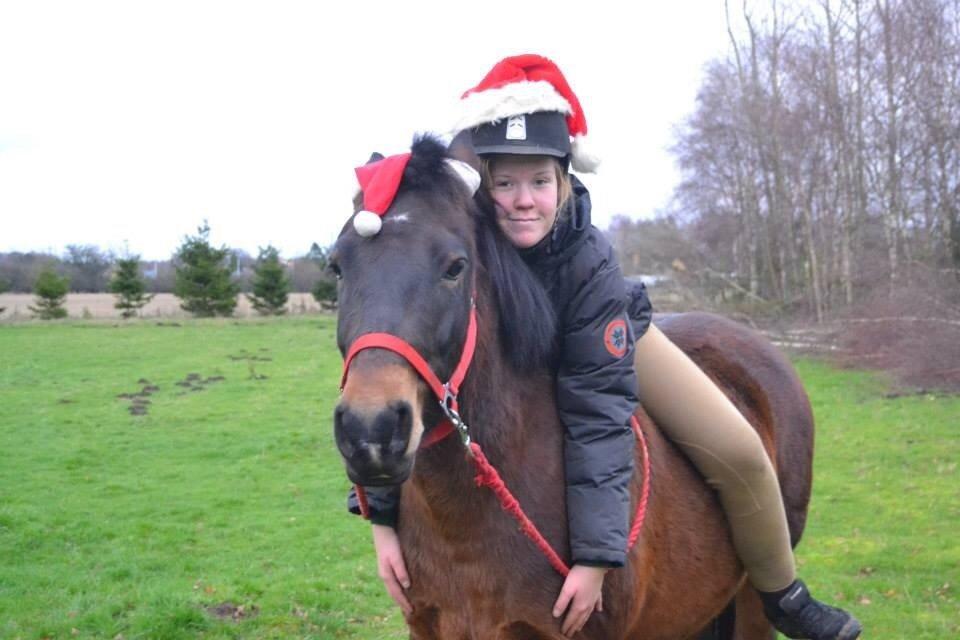 New Forest Mister twostar (tidl. Part) billede 4