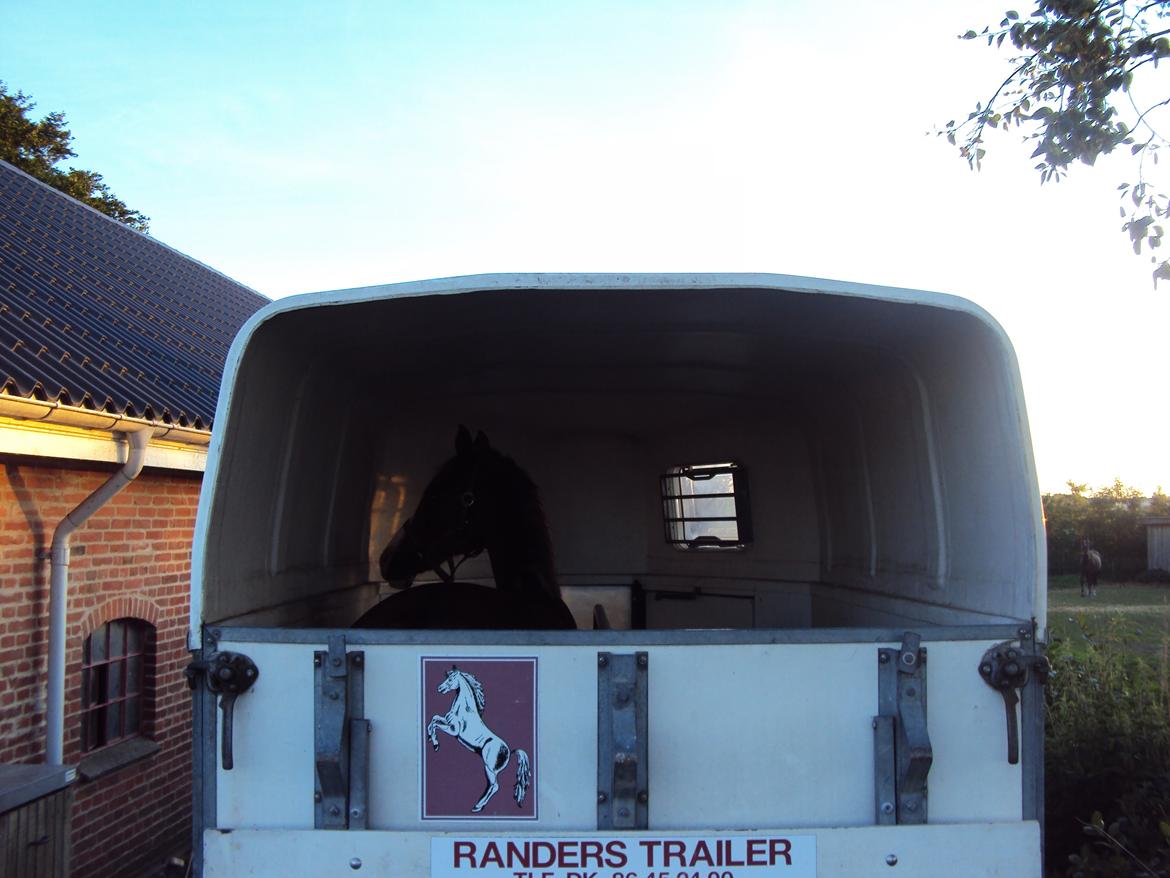 Anden særlig race Vestergårds La Foxy - Ikke dårligt med en ny pony:-) billede 41