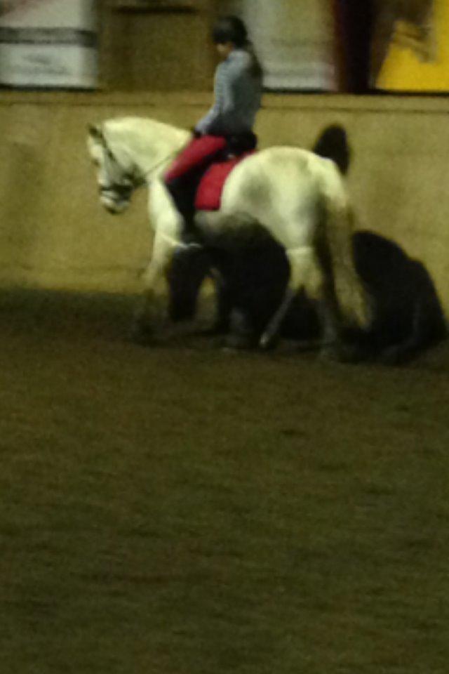 Anden særlig race Albert - Albert og jeg <3 billede 5