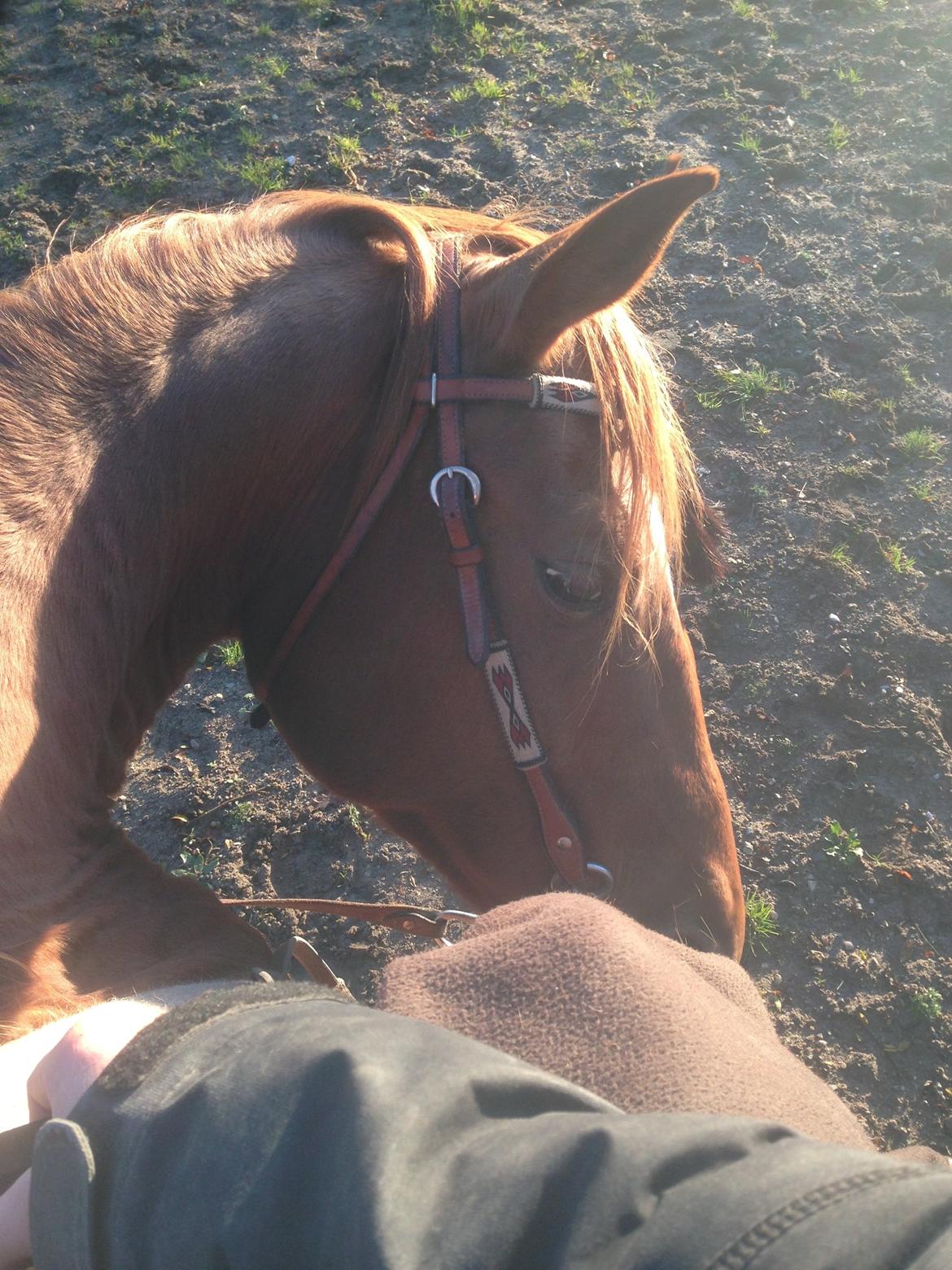 Quarter peppy maclou design  billede 6