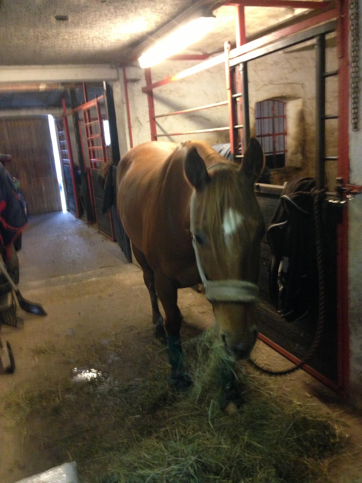 Quarter peppy maclou design  billede 9