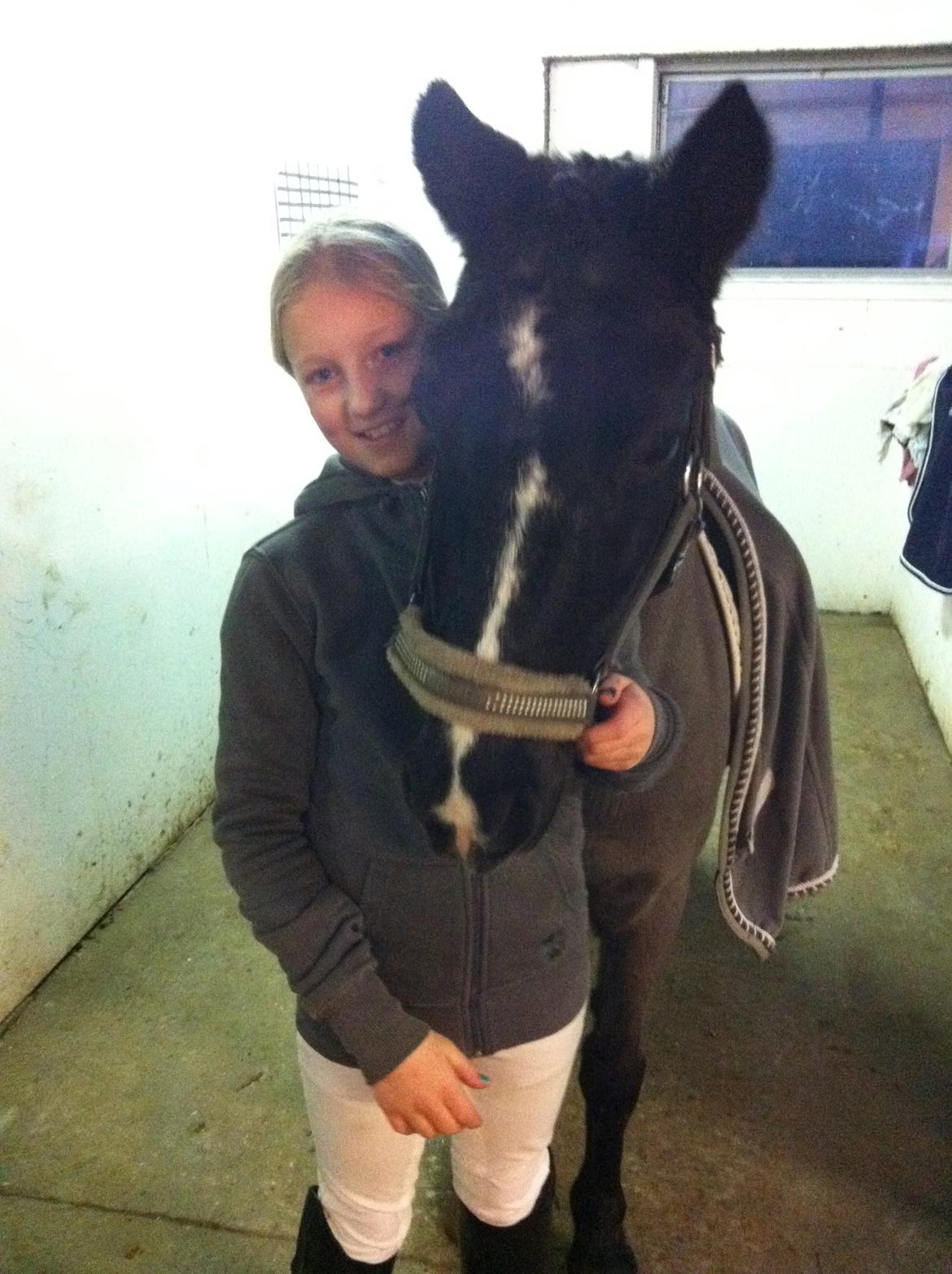 Welsh Mountain (sec A) Naturel Mini - Du spurgte mig engang hvis jeg skulle have 3 ting med på en øde ø hvad skulle det så være? Jeg har tænkt over det og jeg er ligeglad med de 2 andre ting bare jeg får dig med<3 billede 13