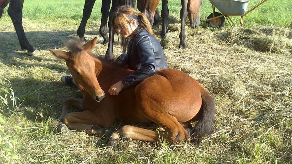 Dansk Varmblod TWINHORS DON'A BALLERINA - Hygge med lillepigen <3 billede 26