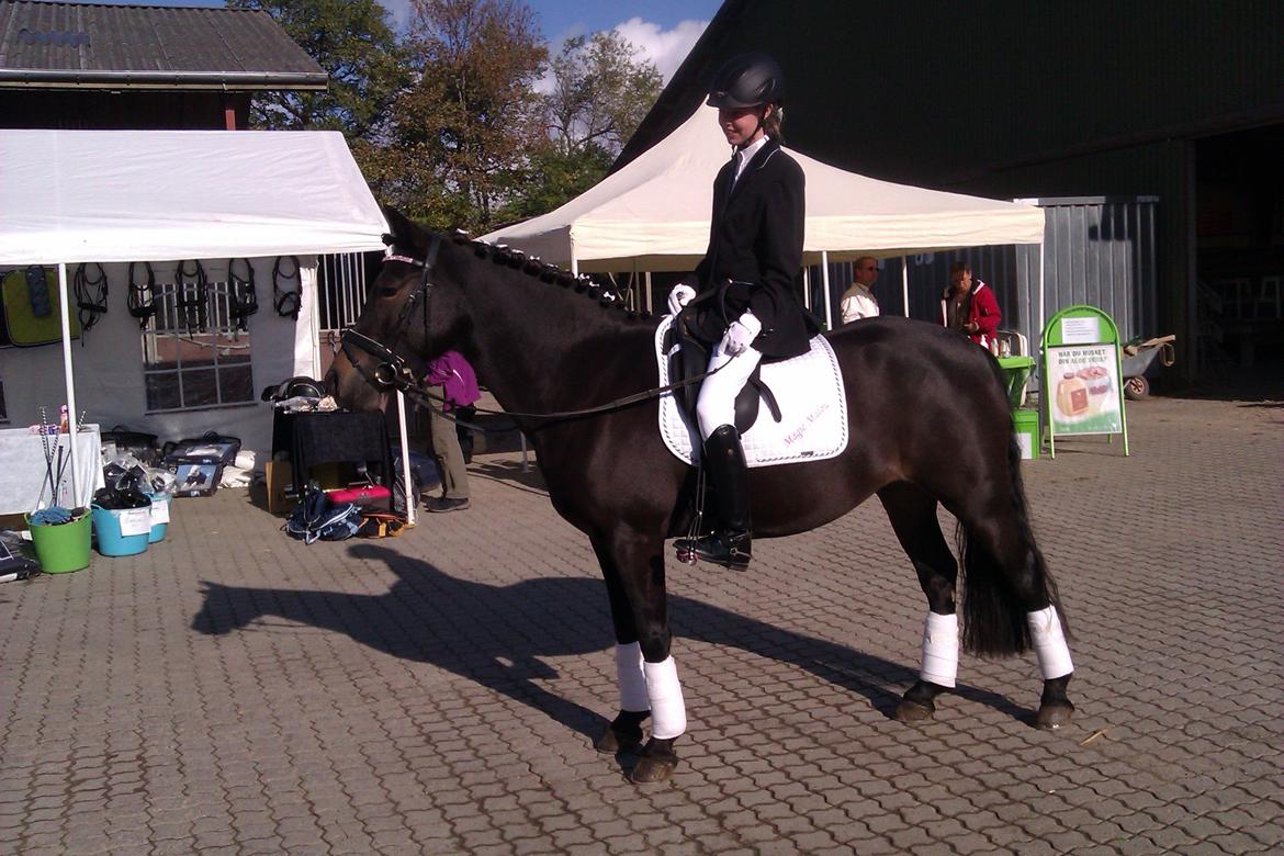 Anden særlig race Magic Malou <3<3 billede 15