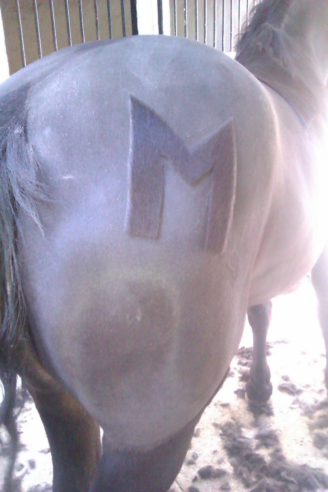 Anden særlig race Magic Malou <3<3 - Malous fine numse :) billede 2