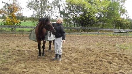 Anden særlig race Diango (miss) billede 15