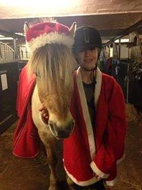 Fjordhest Conrad <3Aflivet<3 - Baby, all i want for christmas is yooouuuu.. Juul 2013 billede 9