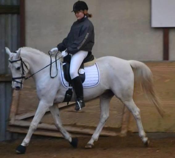 Anden særlig race Meritza - PriNSeSseN<3 billede 2