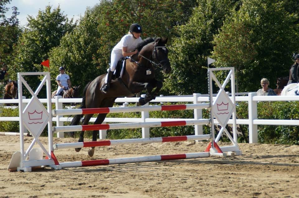 Mecklenburger Napoleon billede 6