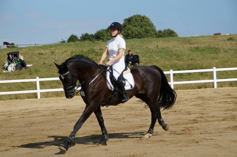 Mecklenburger Napoleon billede 10