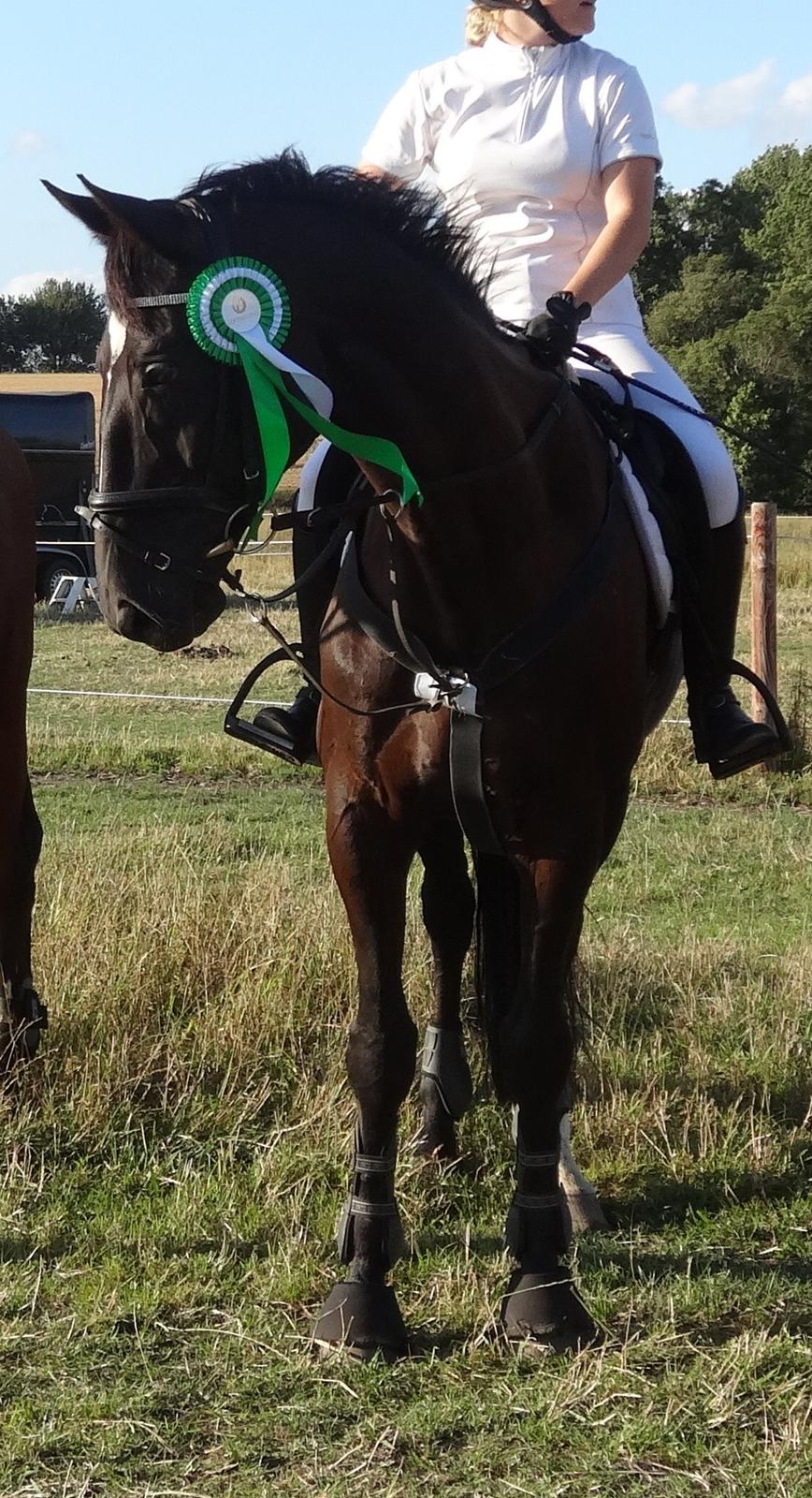 Mecklenburger Napoleon billede 18