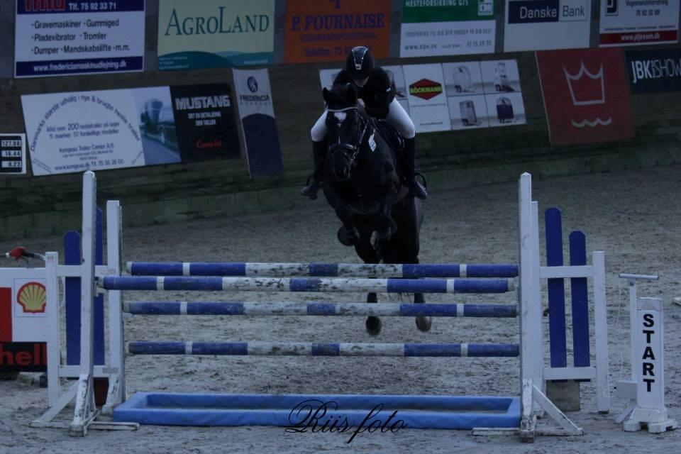 Mecklenburger Napoleon billede 9