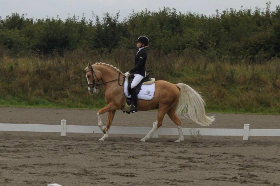 Palomino Berlinetto B-pony! - Berlinetto og jeg til distriksmesterskaberne for hold. Vi blev samlet nr. 3 billede 9