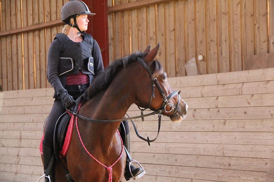 Tysk Sportspony Dorina - jeg skrev dit navn i sandet men havet tog det med, jeg skrev dit navn på tavlen men læren viskede det væk, jeg skrev dit navn i mit hjere og der ville det altid være <3 billede 14