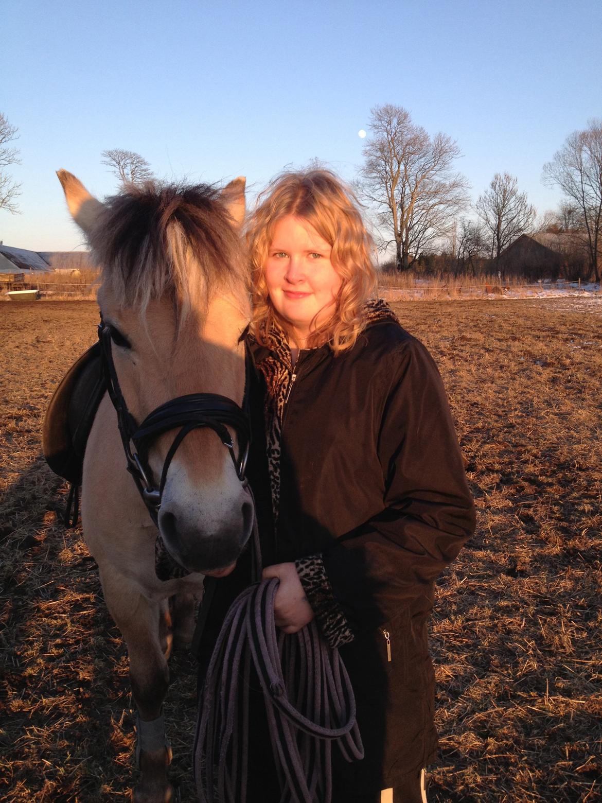 Fjordhest Jasper Pride billede 40