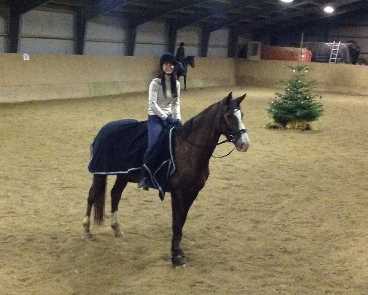 Dansk Varmblod Red Romance - Dejlige mus :) billede 2