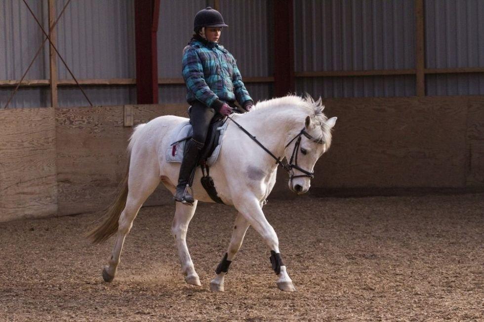 Anden særlig race Pepito my only one! <3 billede 26