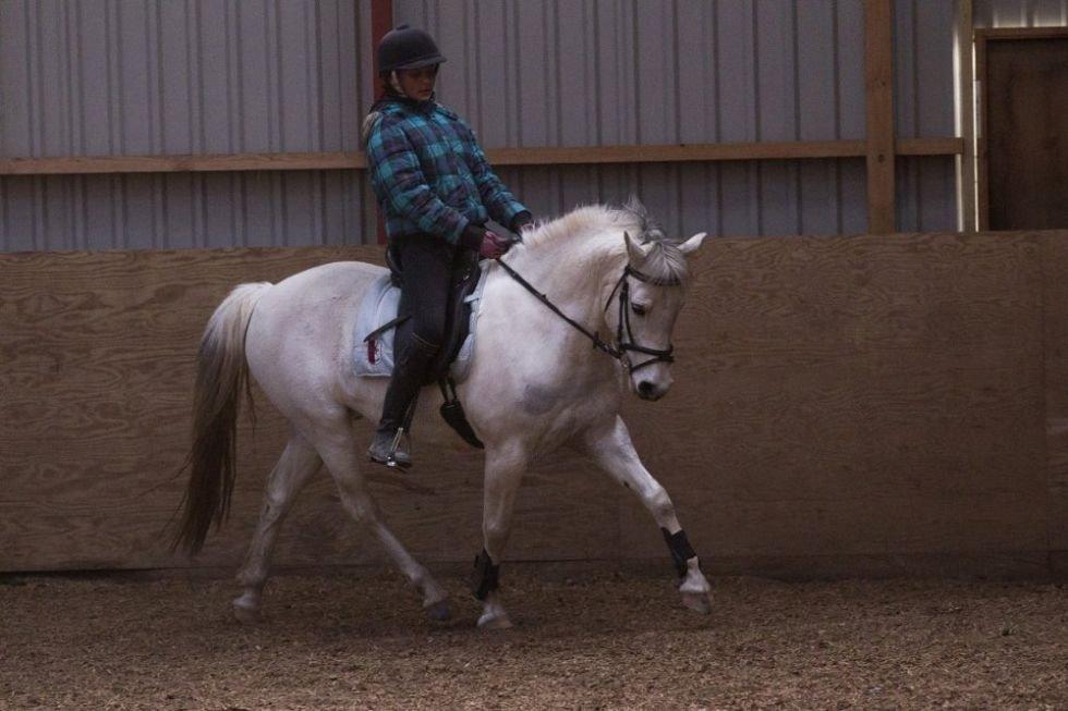 Anden særlig race Pepito my only one! <3 billede 27