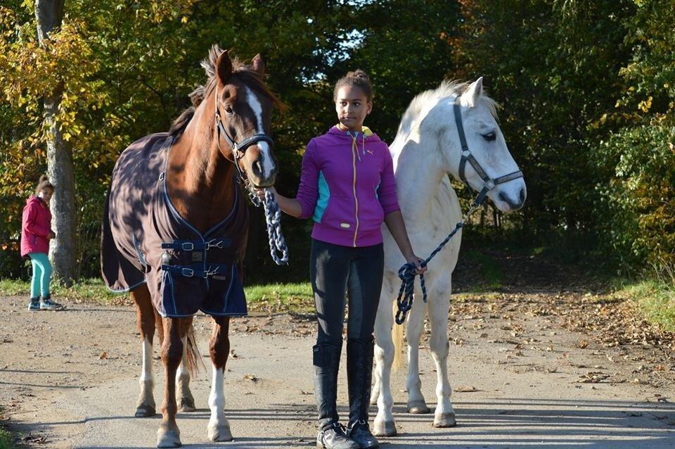 Anden særlig race Pepito my only one! <3 billede 32