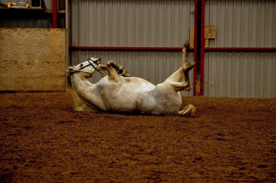 Anden særlig race Pepito my only one! <3 billede 33