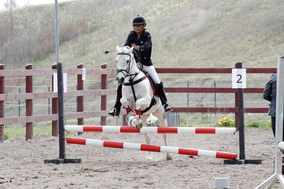 Anden særlig race Pepito my only one! <3 billede 37