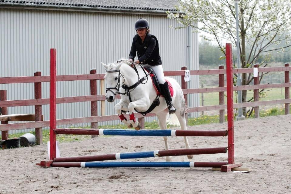 Anden særlig race Pepito my only one! <3 billede 36