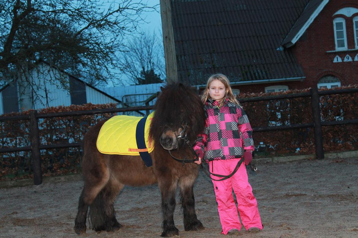 Knabstrupper Gizmo [min søsters pony] - Foto: Ceilie (storesøster) billede 7