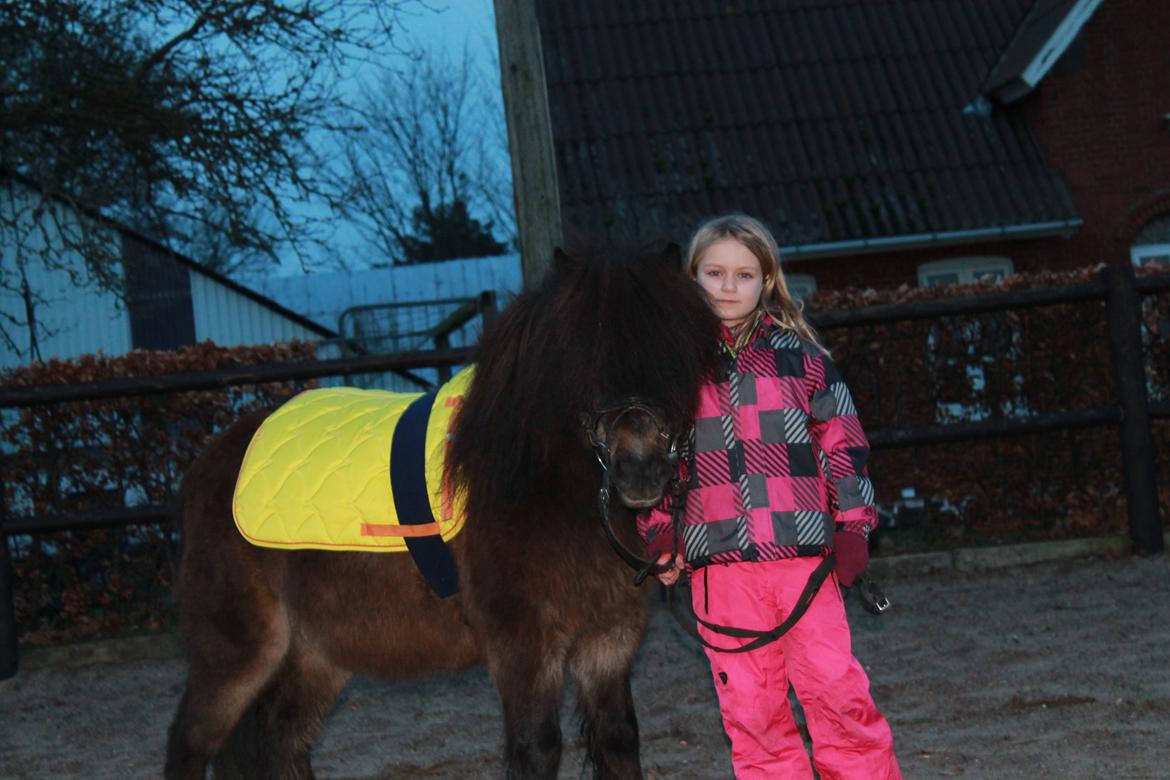 Knabstrupper Gizmo [min søsters pony] - Foto: Ceilie (storesøster) billede 9