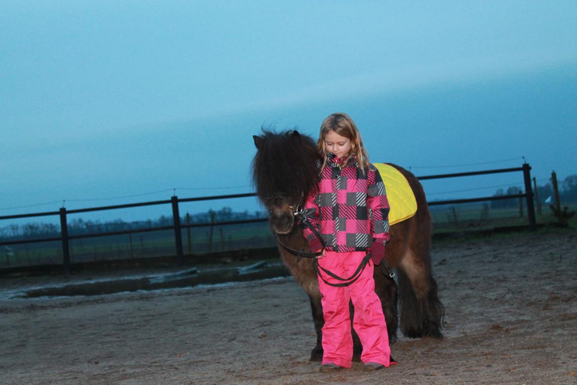 Knabstrupper Gizmo [min søsters pony] - Foto: Ceilie (storesøster)
 billede 3