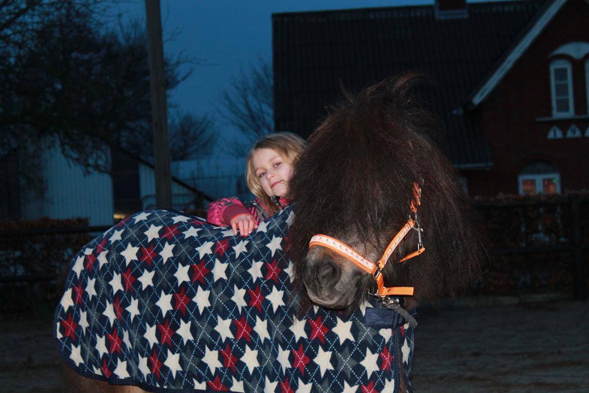 Knabstrupper Gizmo [min søsters pony] - Tak for kigget <3
Foto: Ceilie (storesøster) billede 17