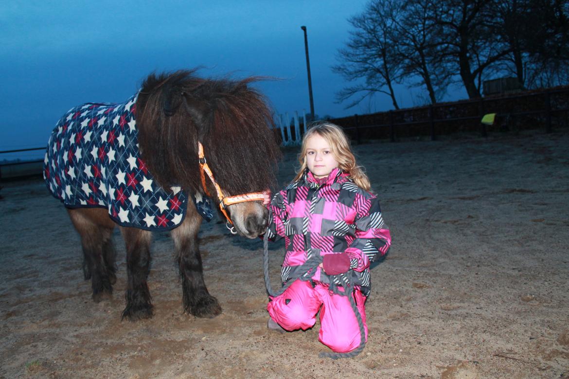 Knabstrupper Gizmo [min søsters pony] - Foto: Ceilie (storesøster) billede 12