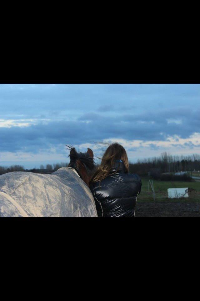 Anden særlig race Allgrea billede 11