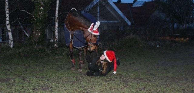 Anden særlig race Allgrea billede 16