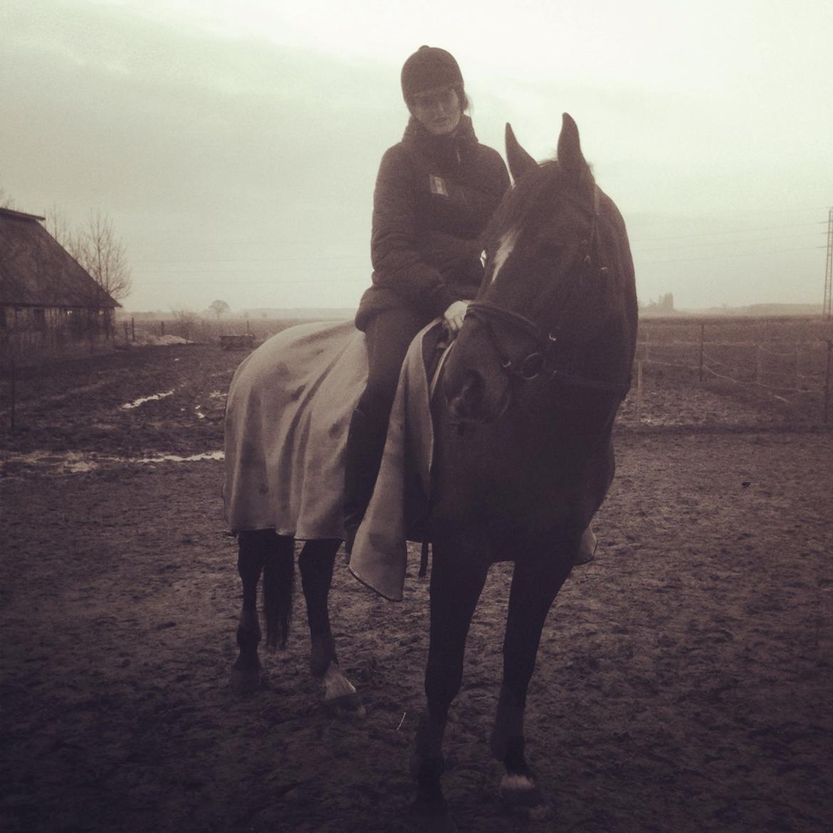 Ungarnsk Varmblod  Lili - Min skat billede 18