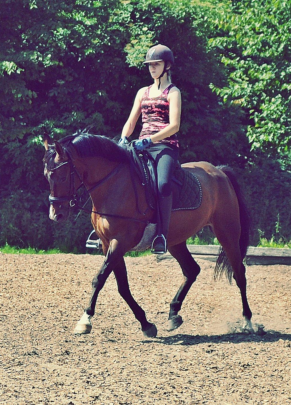 Fuldblod (XX) Fly - Min prins<3 billede 4