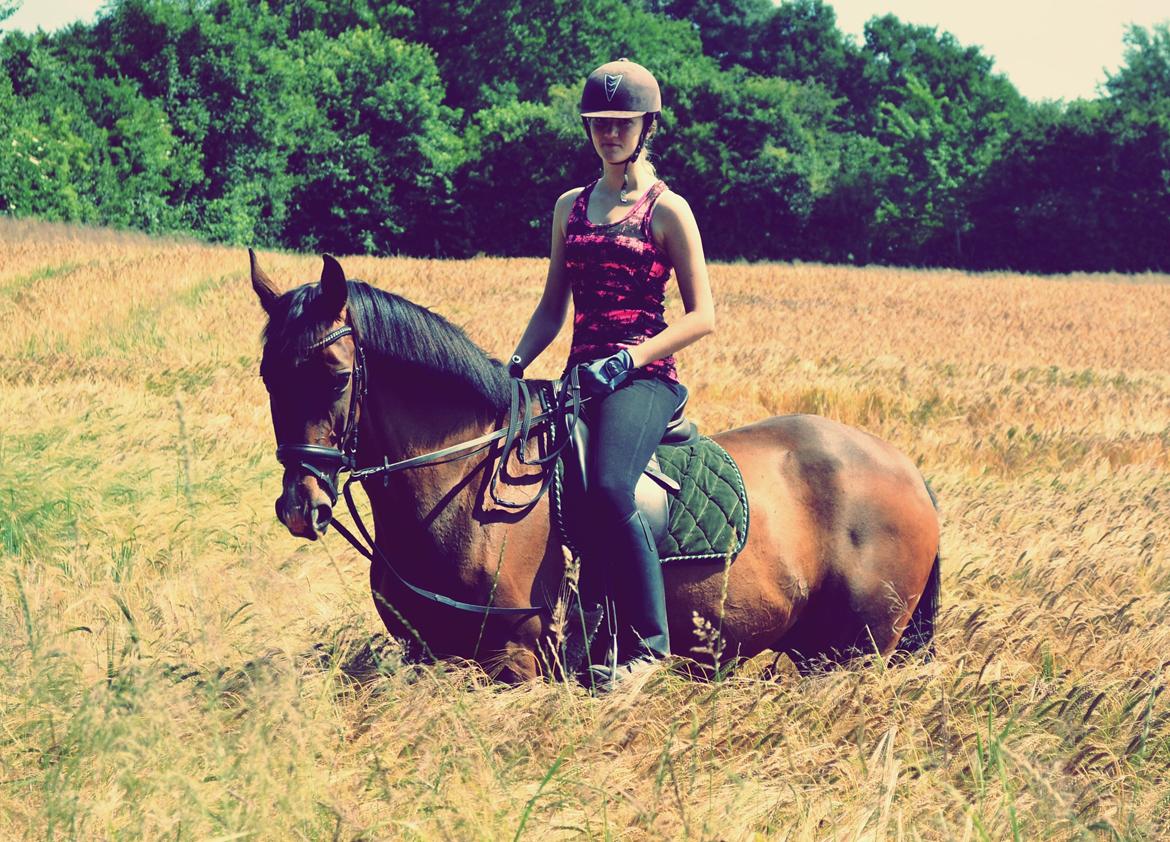 Fuldblod (XX) Fly - Min prins<3 billede 19