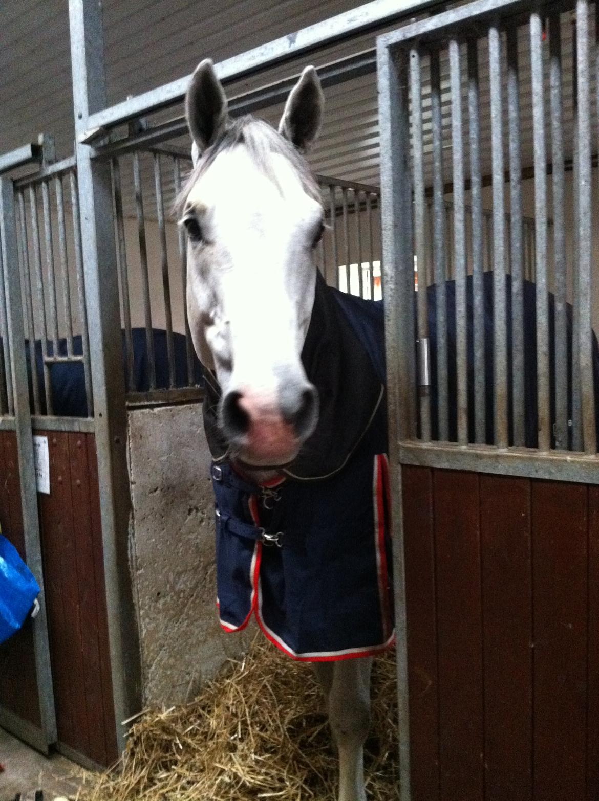 Holstener Ciel Ouvert billede 11