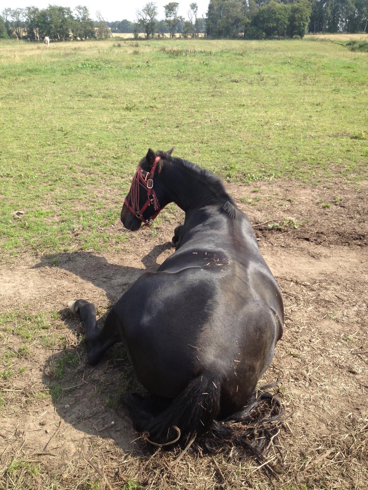 Traver Exposito Attack billede 21