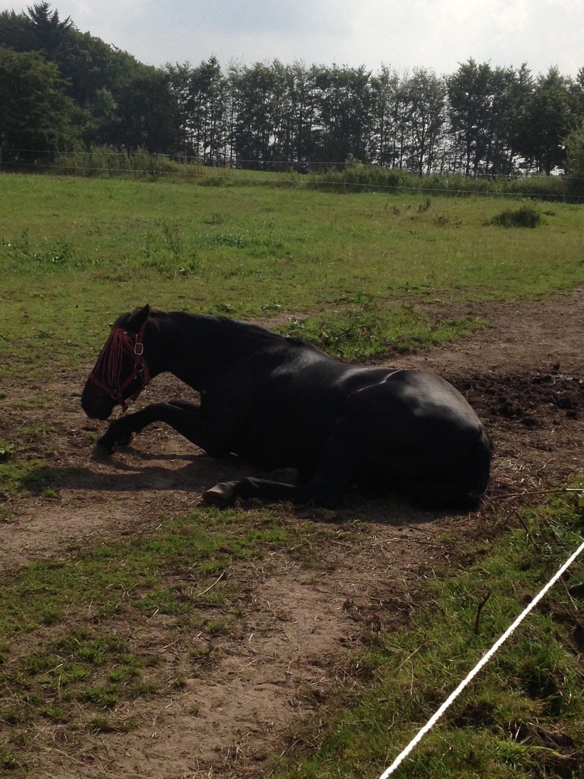 Traver Exposito Attack billede 23