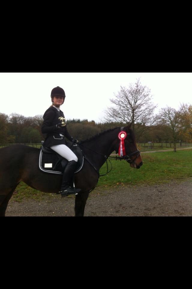 Anden særlig race Miss Patricia - Spring stævne med Emma, dygtige piger!! billede 12